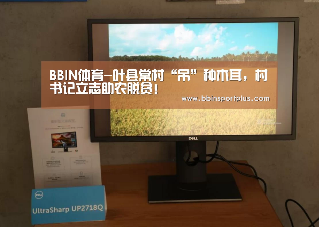 BBIN体育-叶县常村“吊”种木耳,村书记立志助农脱贫!(图3) BBIN视讯