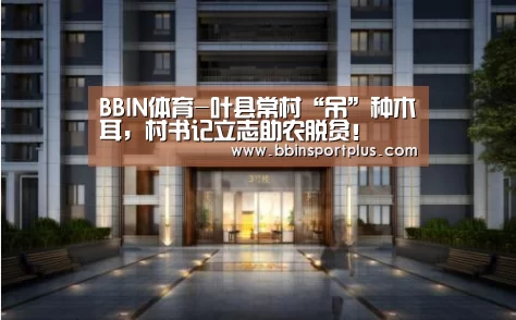 BBIN体育-叶县常村“吊”种木耳,村书记立志助农脱贫!(图1) BBIN体育