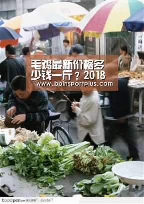 BBIN娱乐城