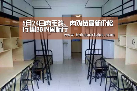 5月24日肉毛鸡、肉鸡苗最新价格行情|BBIN国际厅(图1) BBIN视讯
