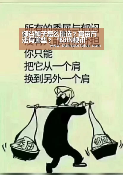 御谷种子怎么挑选?育苗方法有哪些?‘BBIN视讯’(图1) BBIN国际厅