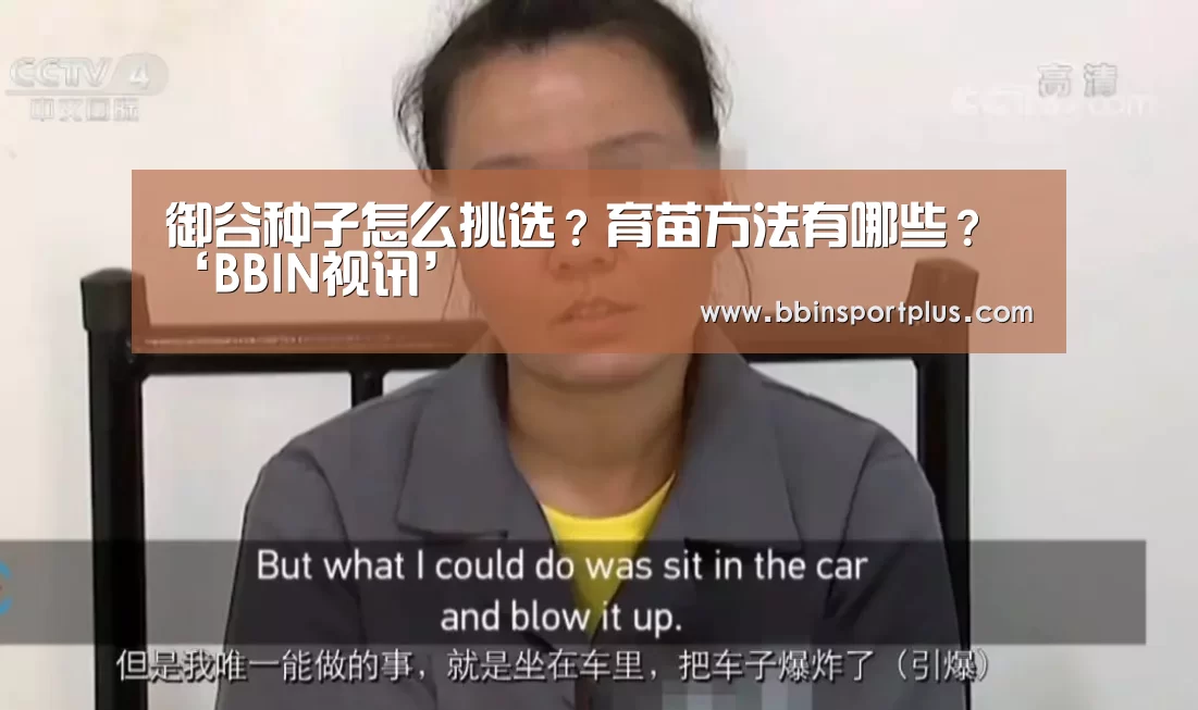 御谷种子怎么挑选?育苗方法有哪些?‘BBIN视讯’(图3) BBIN国际厅