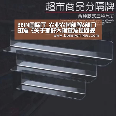 BBIN视讯