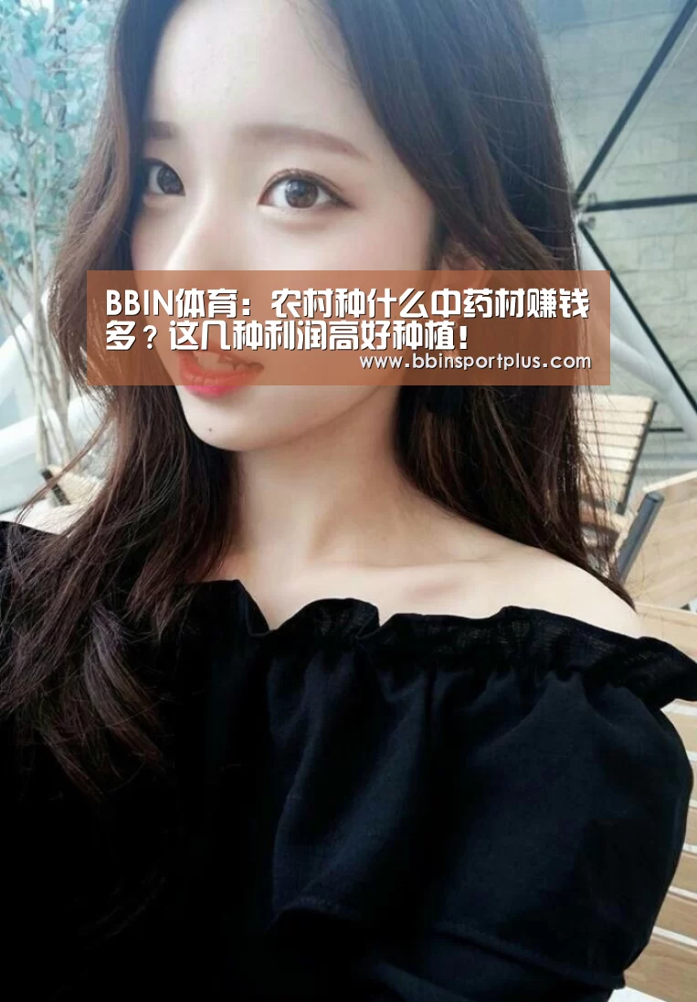 BBIN体育