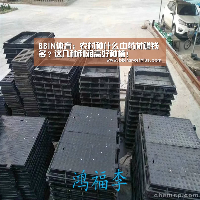 BBIN国际厅