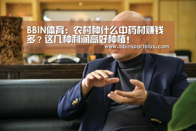 BBIN体育