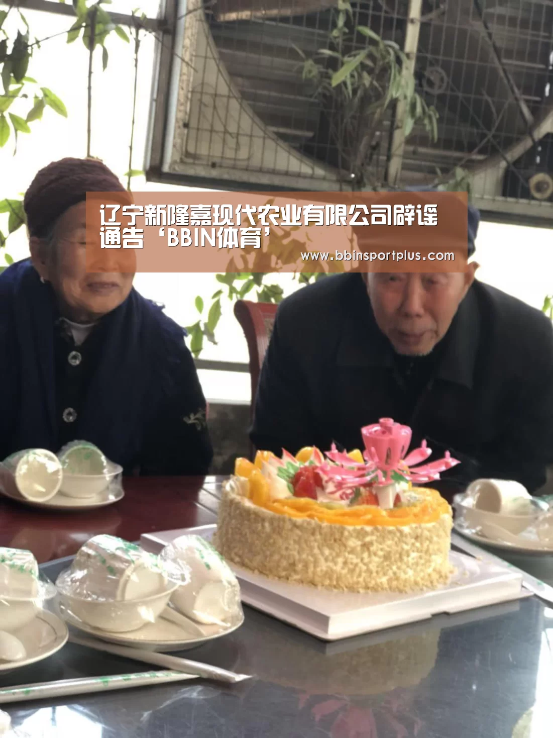 辽宁新隆嘉现代农业有限公司辟谣通告‘BBIN体育’(图4) BBIN体育
