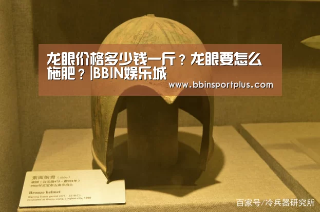 龙眼价格多少钱一斤?龙眼要怎么施肥?|BBIN娱乐城(图2) BBIN娱乐城