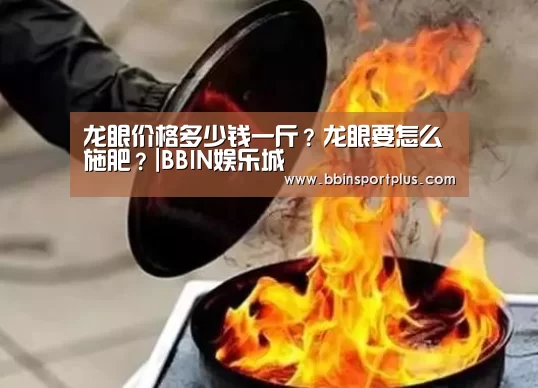 龙眼价格多少钱一斤?龙眼要怎么施肥?|BBIN娱乐城(图1) BBIN体育